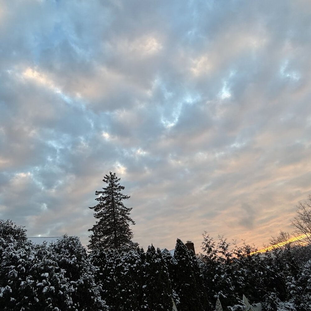 Meet your Posher, Michele